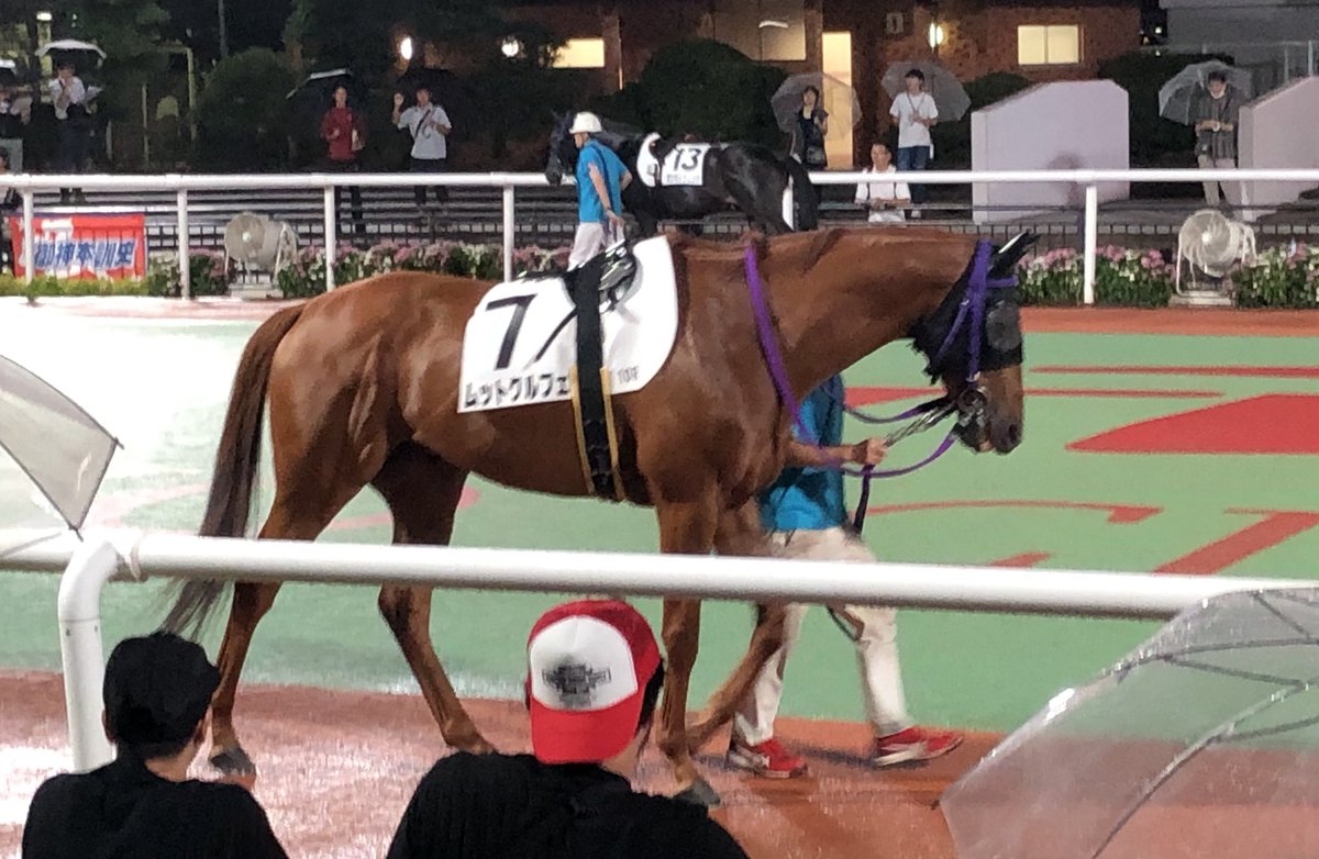 ムットクルフェの応援に大井競馬場です🐎
盛岡のスピードスターはまたも1番人気で負けてしまいましたが💦、ムットクルフェはどうでしょうか。
好勝負を期待したいです😊