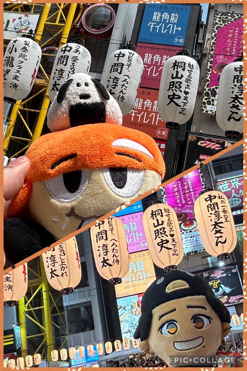 ひよのすけ🪘 tweet media