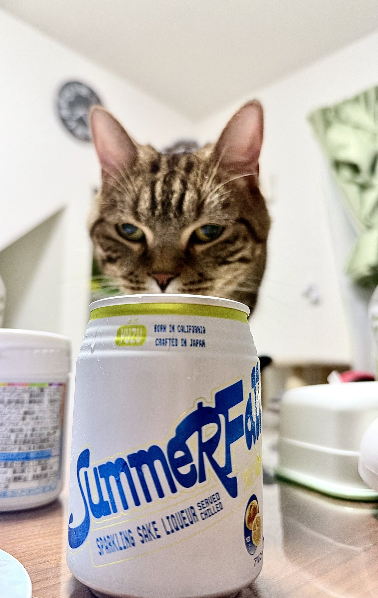 【盤質良好】「星猫フルハウス Vol.2 静かの海のルンバ…」 非売品 リスプ ネコアルク 65mm缶バッジ [月姫 -A piece of blue glass moon