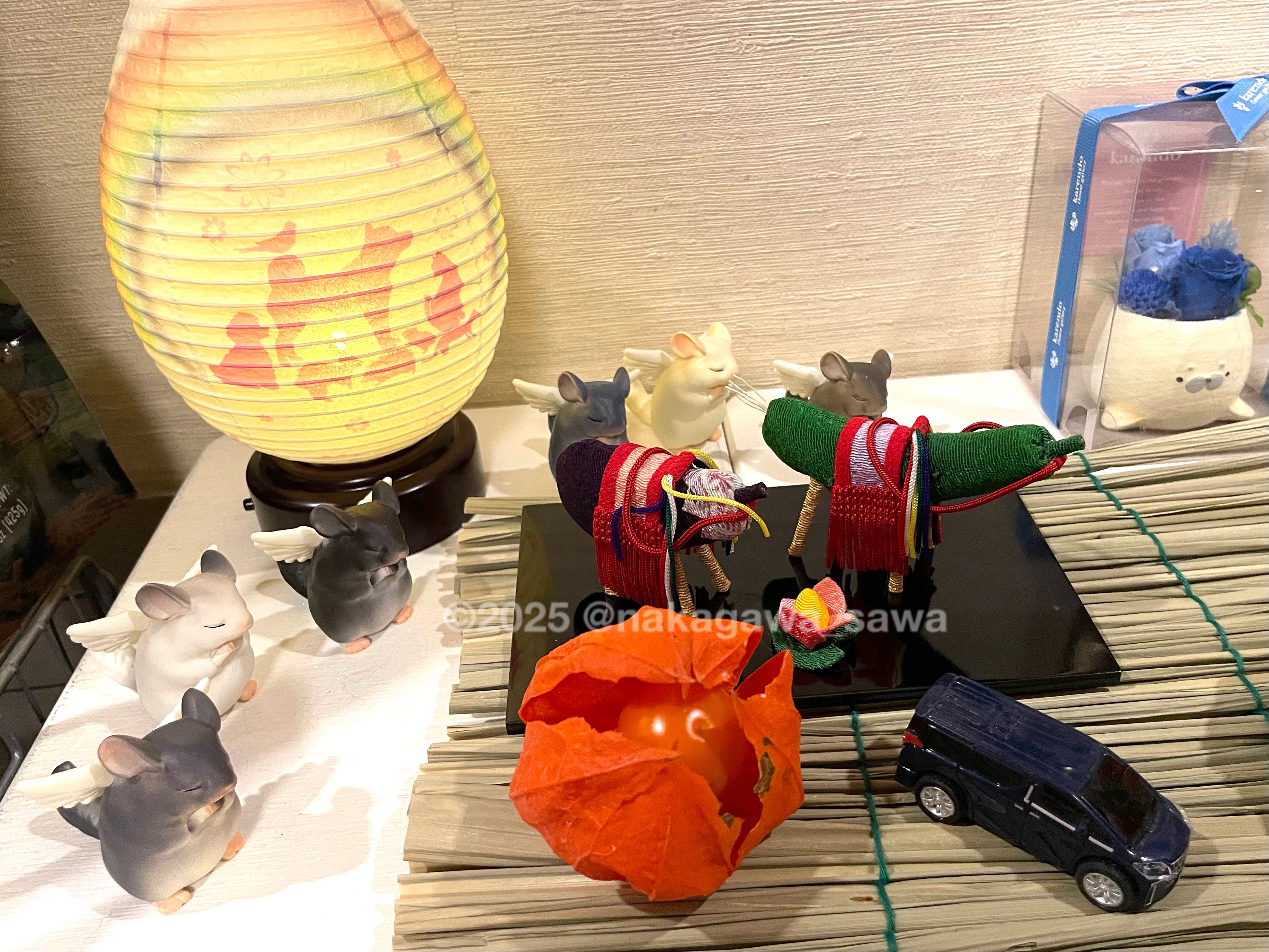 さわえ様 おまとめ購入ページ SALE】えっくす☆きゅーと ふぁみりー おとぎの国/小さなメイド