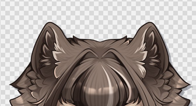 Kate 🦝 tweet media