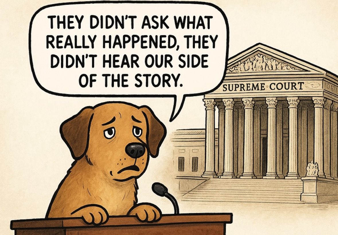 ChandelSahil1's tweet photo. Honourable SupremeCourt kindly 
Make such strict judgement on the actual real life issue

Terrorist Attacks ❌
Rape  ❌
Crime ❌
Cyber fraud ❌
SSC scam ❌
Traffic management ❌
Damaged road/potholes ❌
Collapsing Bridges❌

Stray Dogs ✅

#straydog #SupremeCourt https://t.co/uPLP1ktE1T