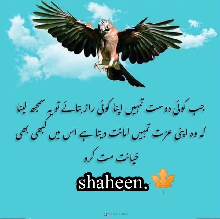 آج کی بات۔۔۔!!!!!!
جب کوٸی دوست تمیں اپنا راز بتاۓ تو سمجھ لینا کہ وہ اپنی عزت تمیں امانت دیتا ھے۔۔!!!
اس میں کبھی حیانت مت کرو۔۔!!
#دل_کی_آواز 
#قومی_زبان