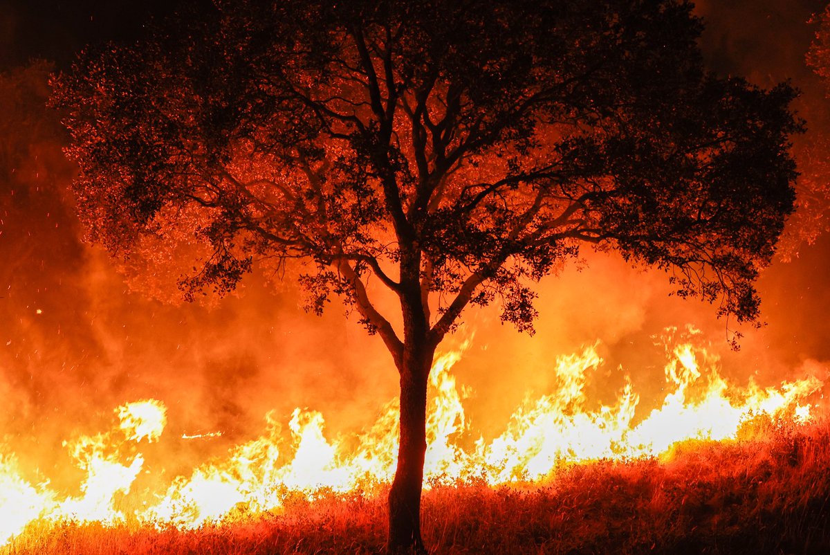 Incendio en Tres Cantos (Madrid) sobre las 2:30 de la madrugada.

©️Mario Morón