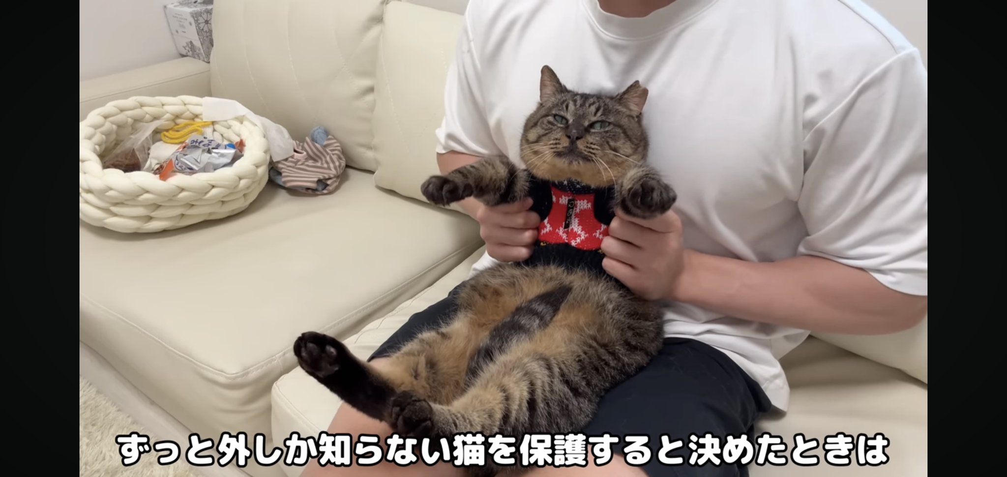 ちょまき　水曜日発送不可　様♦️リクエスト5点おまとめ SHOWROOM(ショールーム) | ライブ配信サービス