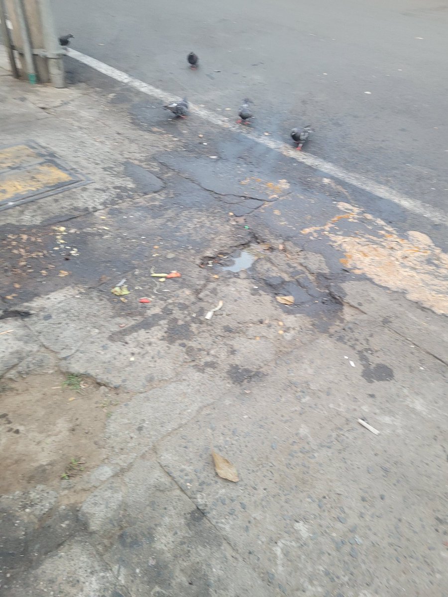 luiferquinte's tweet photo. Este tipo de escenas no tienen razón de ser, más en un lugar turístico y patrimonial como es El Peñon. Se solicita una intervención real y efectiva de @PoliciaCali y su dependencia de policía ambiental. También se hace un llamado a @DagmaOficial https://t.co/rRTe7Y61vl