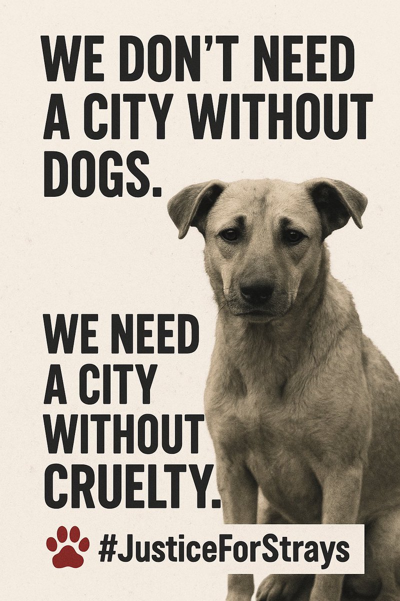 pratik_dhal's tweet photo. Delhi isn’t ‘cleaner’ without stray dogs — it’s just crueller. The Top Court’s verdict rips innocent lives from the streets they call home. These dogs didn’t fail the city — the city failed them. 🐾💔 #Shame #JusticeForStrays #AnimalRights https://t.co/jim87Jkt7Q