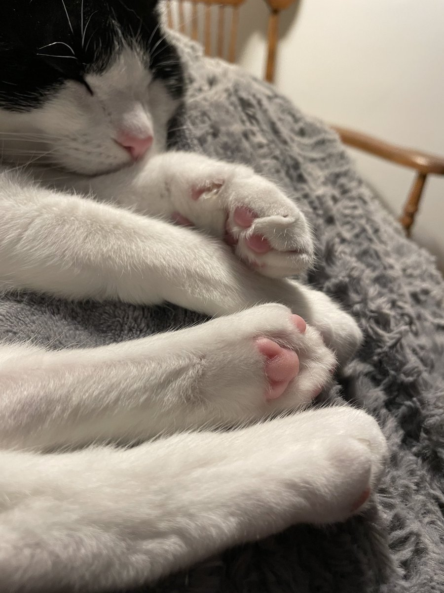 All the beans