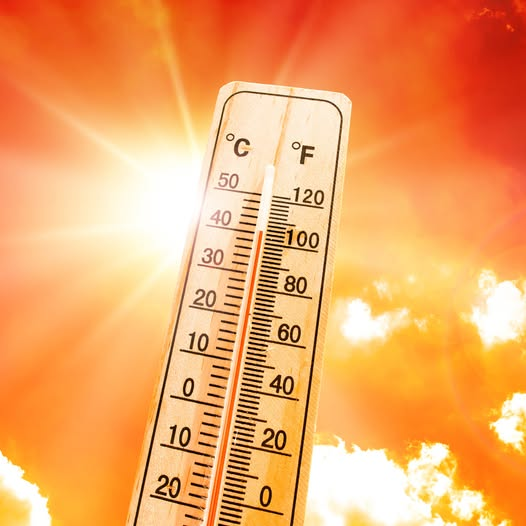 Did you know there is no legal maximum working temperature? 
At this time of year, many of our members are working outside, exposed to the sun.
It's crucial to stay protected while working in the heat. <a href="/H_S_E/">Health and Safety Executive</a>   
 tinyurl.com/4wctrp28