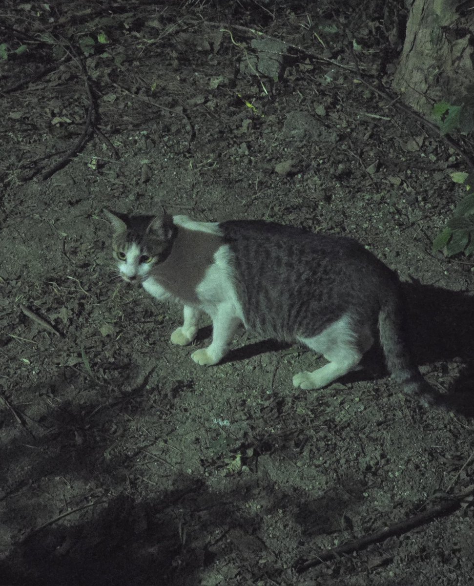 nutdaynull's tweet image. 안녕