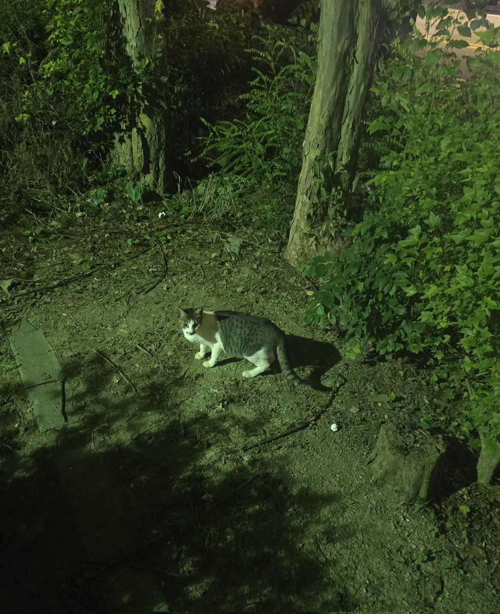 nutdaynull's tweet image. 안녕