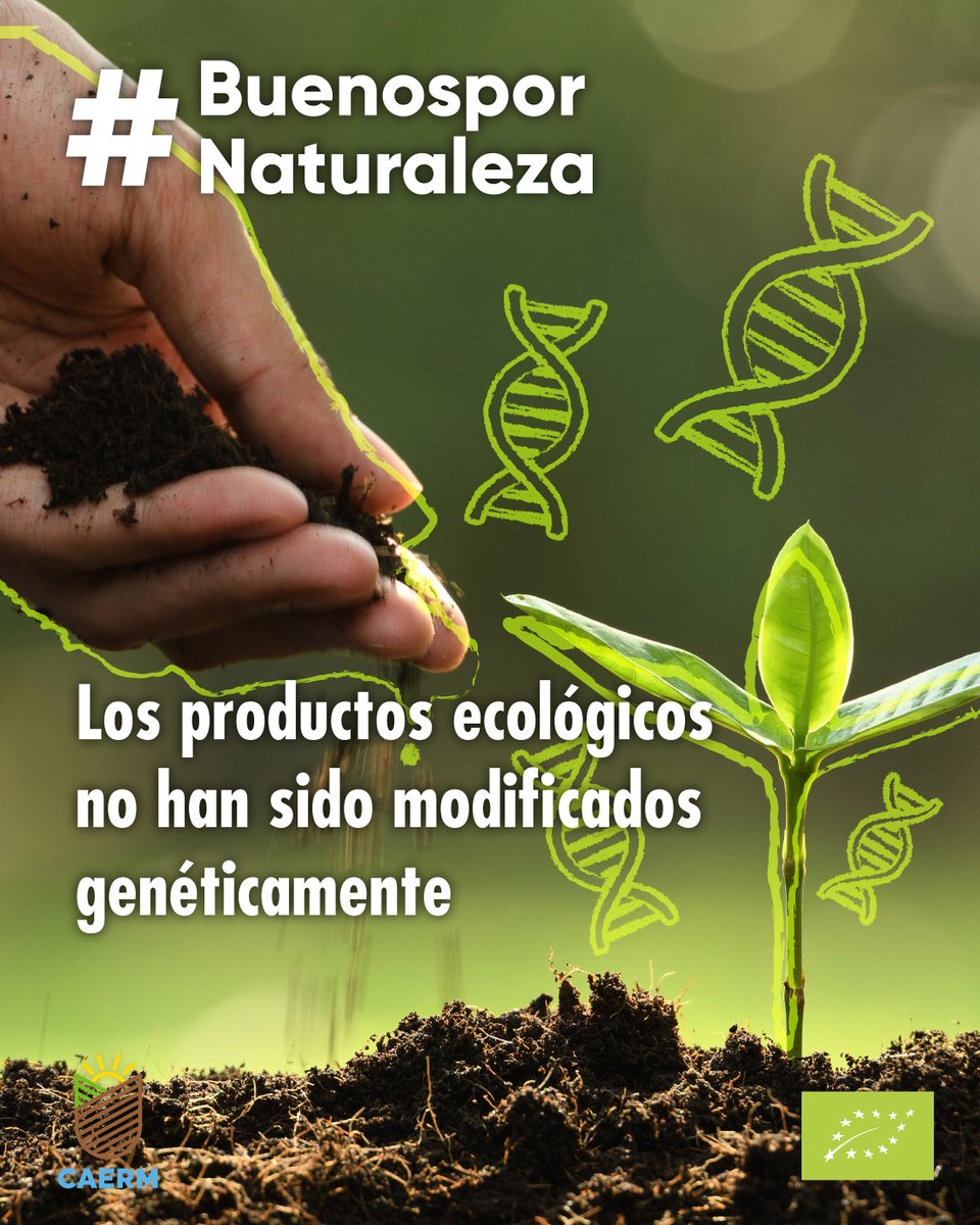 💚 Los productos #ecológicos, aquellos cultivados y producidos de manera # y respetuosa con el medio ambiente 🌱, no han sido modificados genéticamente

Por eso decimos que son #buenospornaturaleza 😇

👉 Elige #bio es bueno para ti y para tu entorno

#AgriculturaEcológica