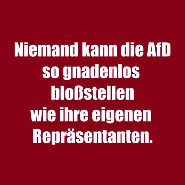 <a href="/Dennis_Hohloch/">Dennis Hohloch 🦅 🇩🇪</a> Weil es keine Rolle spielt.

Für Sie scheinen "Deutsch-Türken" nicht als vollwertige Deutsche zu zählen oder wieso differenzieren Sie hier?

Ach, sie sind bei der AfD....jetzt wird klar wohin der Zug hier fährt...