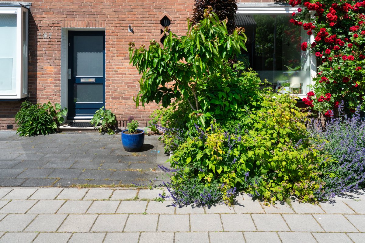 Een tuin met tegels lijkt handig, maar voegen vol onkruid maken het niet onderhoudsvrij. Met planten maak je het jezelf makkelijker én je helpt de natuur. Dus wip die tegels eruit en laat het groen zijn werk doen! #tegelwippen