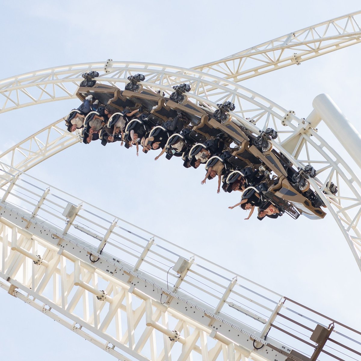 Just one of many exciting excursions students experience during their stay with SBC! 🎢🎡