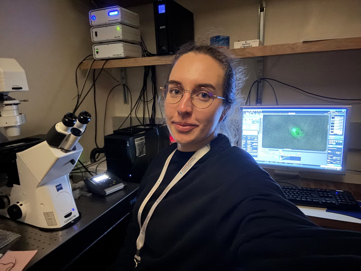 Nadace Neuron tweet media