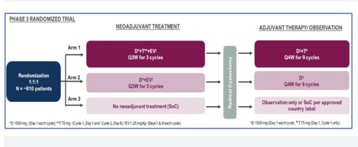 tompowles1's tweet image. The +ve periopertive EVP trial for OS in cis ineligible MIBC may open a new area. Especially if its like EVP in M1  disease. 3 more trials in this area are awaited which test 1) EVP vs cisplatin (NIAGARA population), 2) EV/PD1/CTLA4 vs surgery 3) treatment based on ctDNA status.