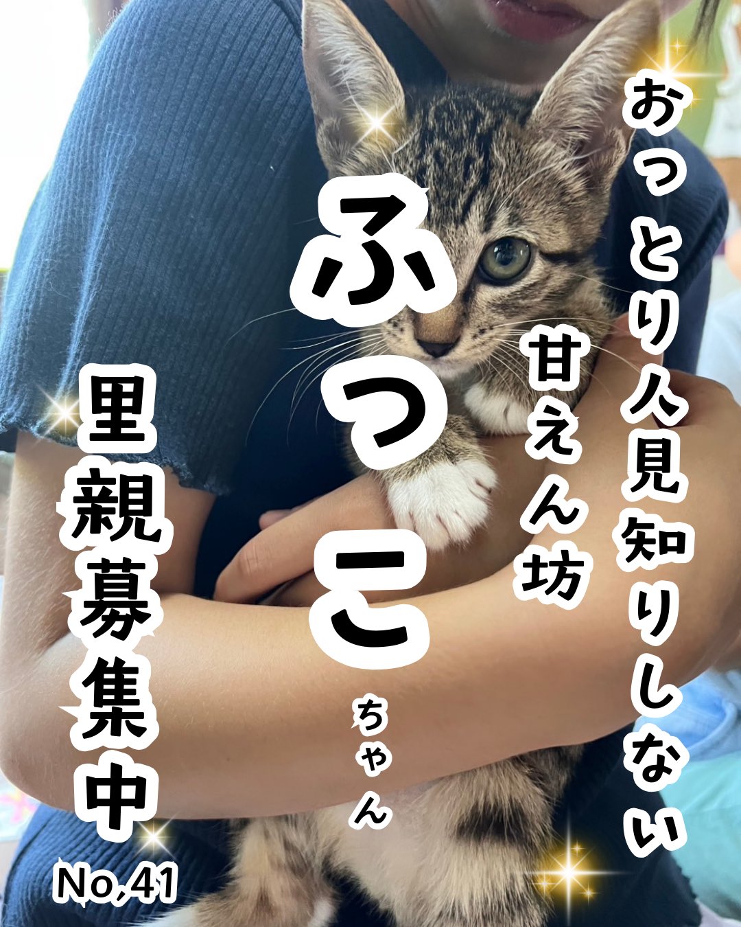 【専用】ねこあし様 隔週刊 ニードルフェルトでねこあつめ 第22号 (発売日2018年11月