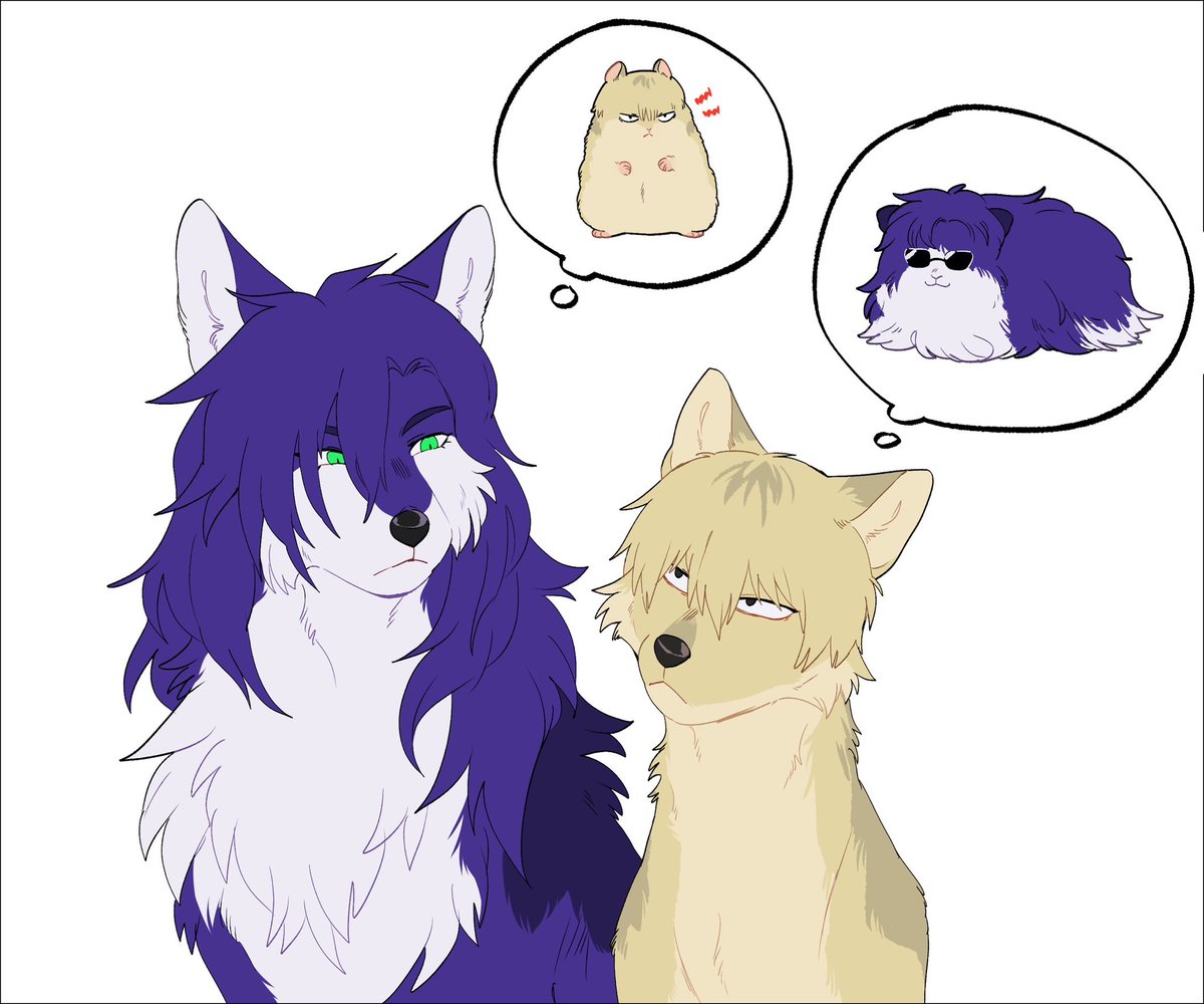 ด่อนดำ tweet media