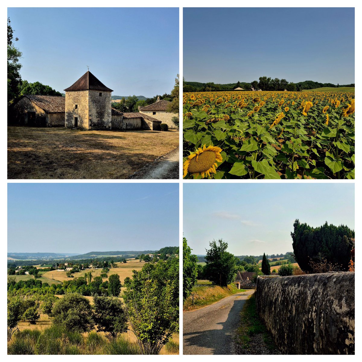 joukesp's tweet image. Good morning, Laura &amp;amp; friends. Summer here, will reach 
90°F. Cut grass, got groceries. Bread lunch (no pics). Dinner with #1Daughter will be 2nd serving of waterzooi. Making soup now w pork shank! Visit to audio center this afternoon. #2Daughter now in France! They’re loving it!