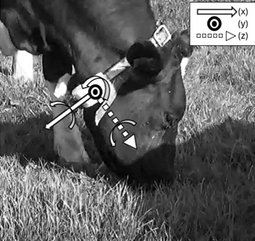 ardusimple tweet media