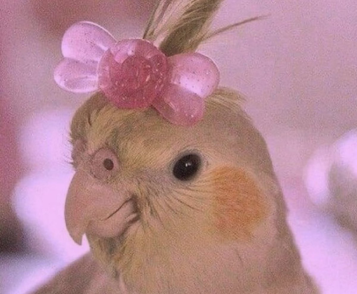 Good morning 🫶🏽