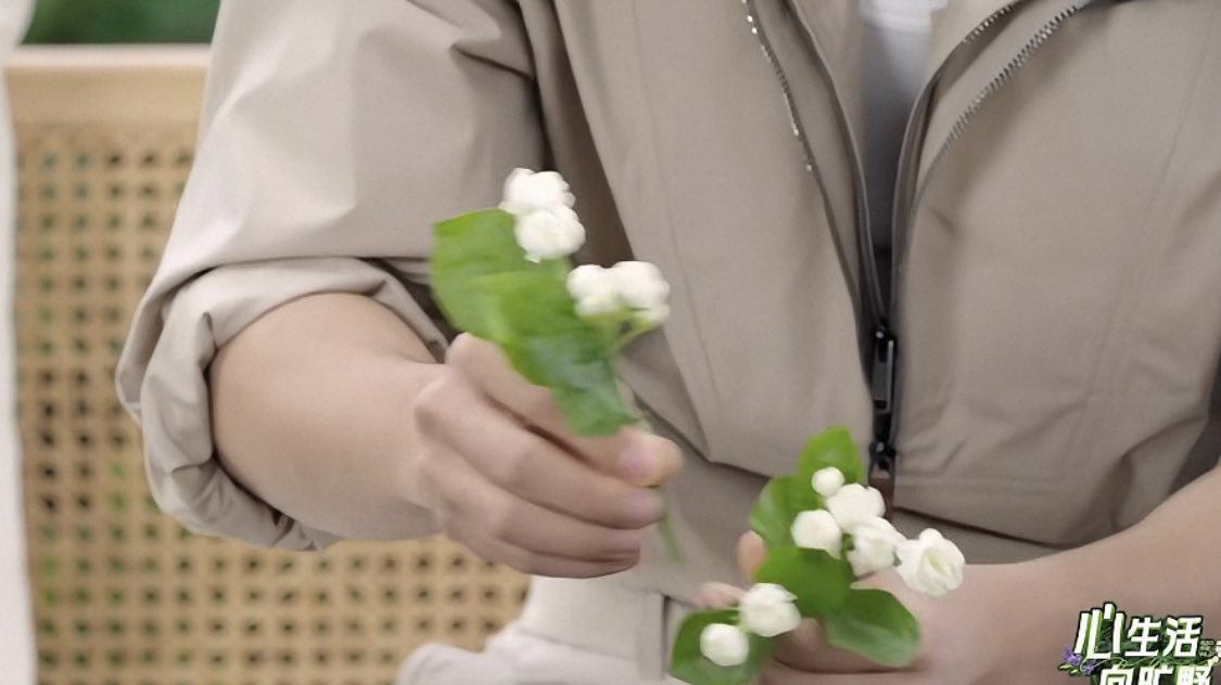 เหมือนดอกมะลิเลย ใจมัมหมีเต้นแรงเฉย 😂💕

HEARTTEX AND XZ IN WILDERNESS
#XiaoZhanHearttexLive25