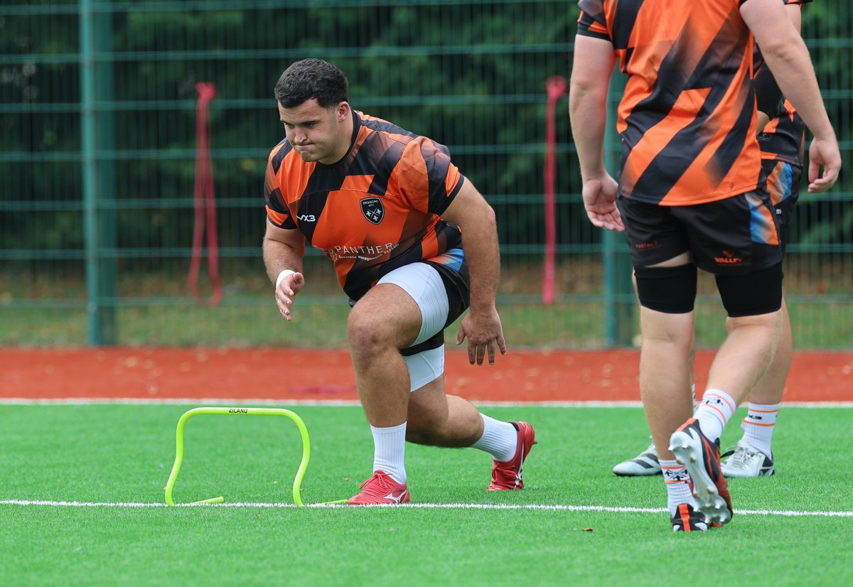 Dragons RFC 🐉 tweet media