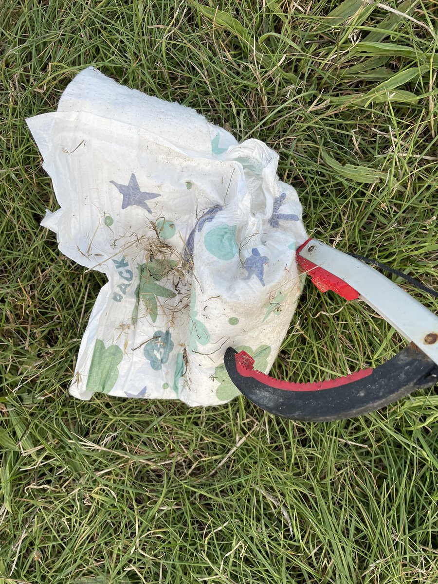 Clairie21's tweet image. Two people seem to have hopped off the beach with just one shoe. The nappy couldn’t make it to the bin &amp;amp; trust me…. You’re not my mate. Just bin it #beachclean #doingourbit #can #nappy #shoez #binit #lazy #lovewhereyoulive