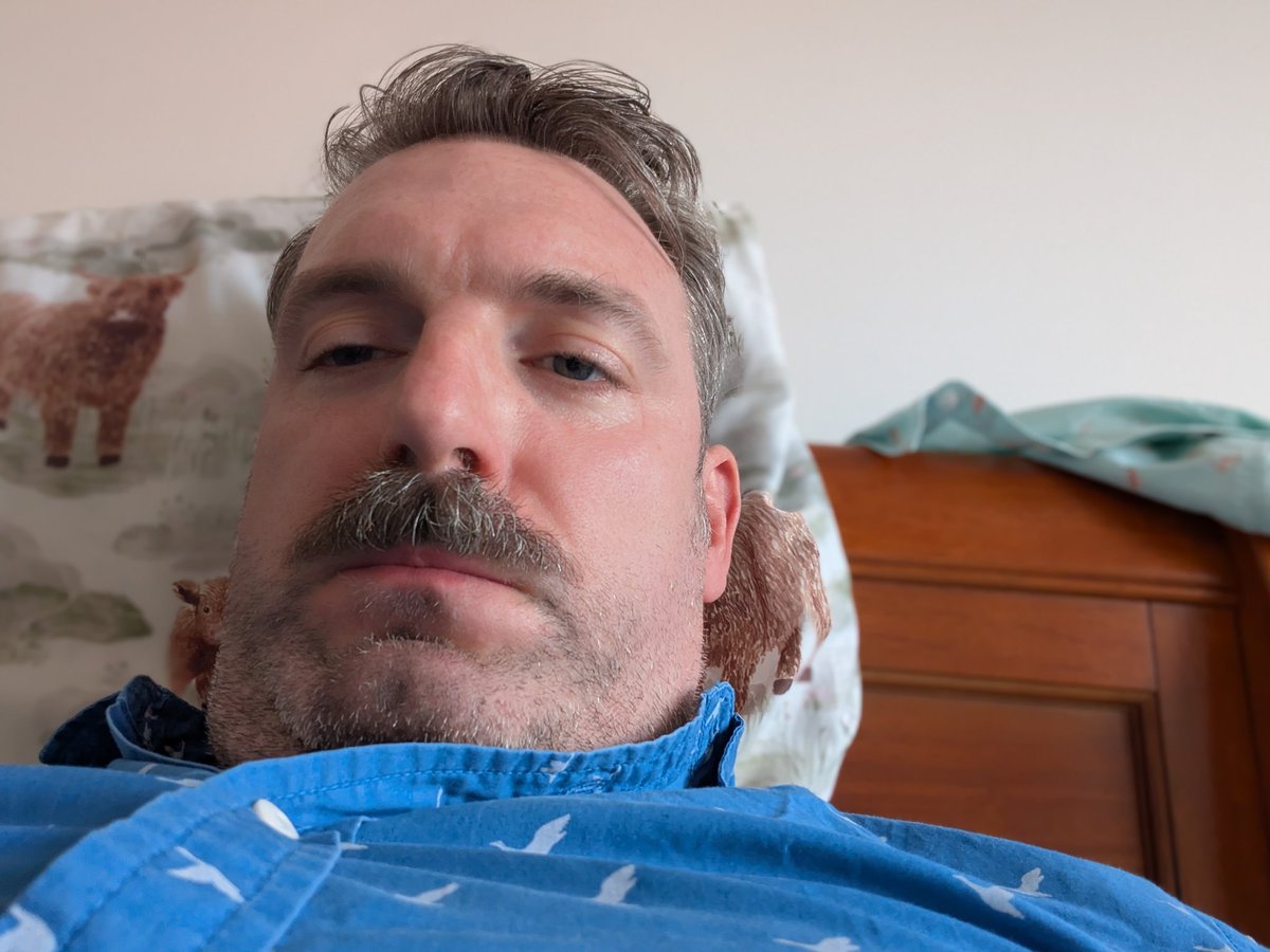 What the Switch sees on my lunch break