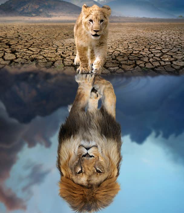 Embedding reflection into the science curriculum in higher education by Katherine Williams, Lena Grinsted, Tom Lowe &amp; Joanne Brindley in #JLDHE #36 journal.aldinhe.ac.uk/index.php/jldh… #LoveLD Trialling the use of reflection to develop employability skills including decision making &amp; teamwork