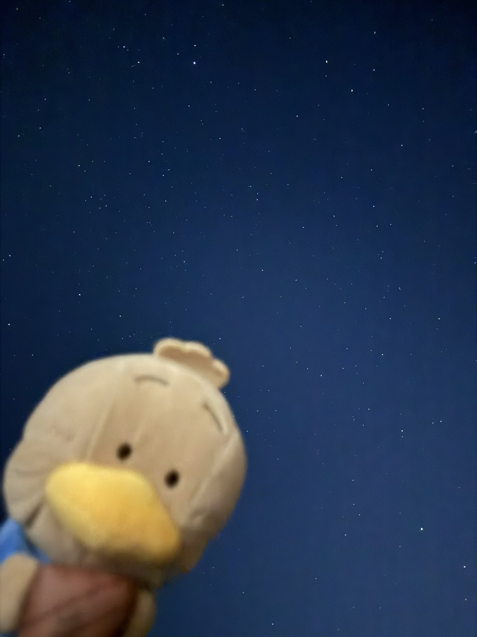 【みっちゃんページ】 みっちゃんページ】 みっちゃん (@mi.zx4r.ch) • Instagram