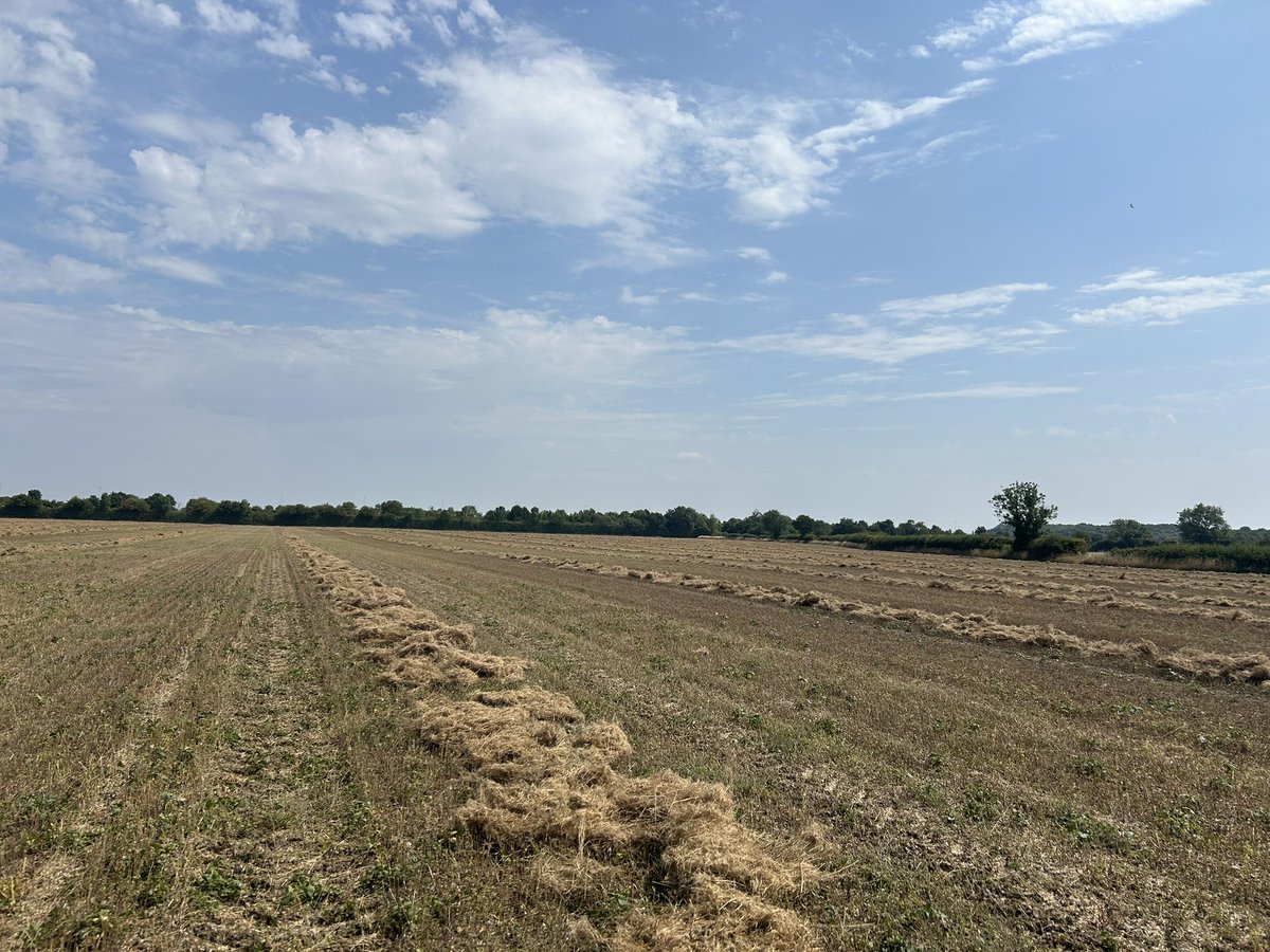 foxall_hannah's tweet photo. Spring #linseed variety trials in Derbyshire being cut today , perfect weather @EurofinsAgro @PremiumCrops https://t.co/vjBihHBWgF