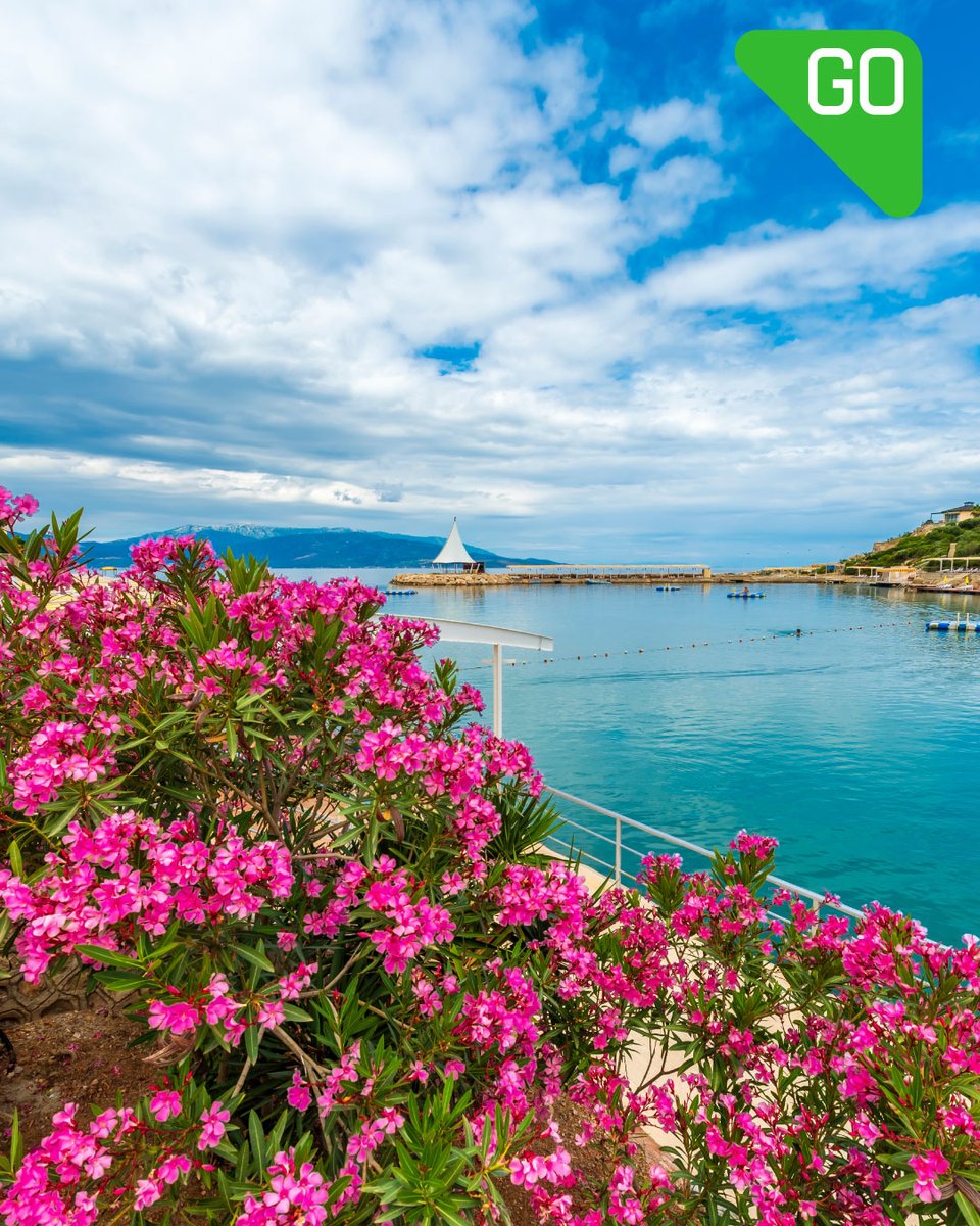Ağustos sıcağında serin bir kaçamak arayanlar için önerimiz: Urla.

Tarihi sokakları, yerel üreticileri, lavanta tarlaları ve masmavi koylarıyla Urla; hem huzurun hem lezzetin rotası.

Yola çıkmadan önce yakıtınızı GO’dan alın, yolculuk keyfini doya doya yaşayın…