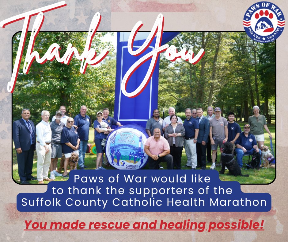 Paws of War tweet media