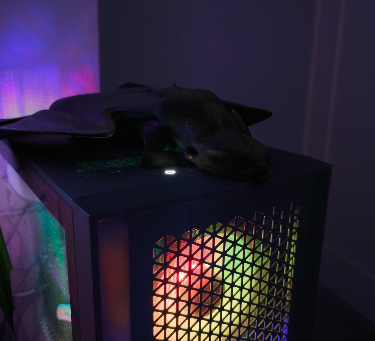 little goober sleeping on my computer

#Toothless #HTTYD #ToothlessIRL