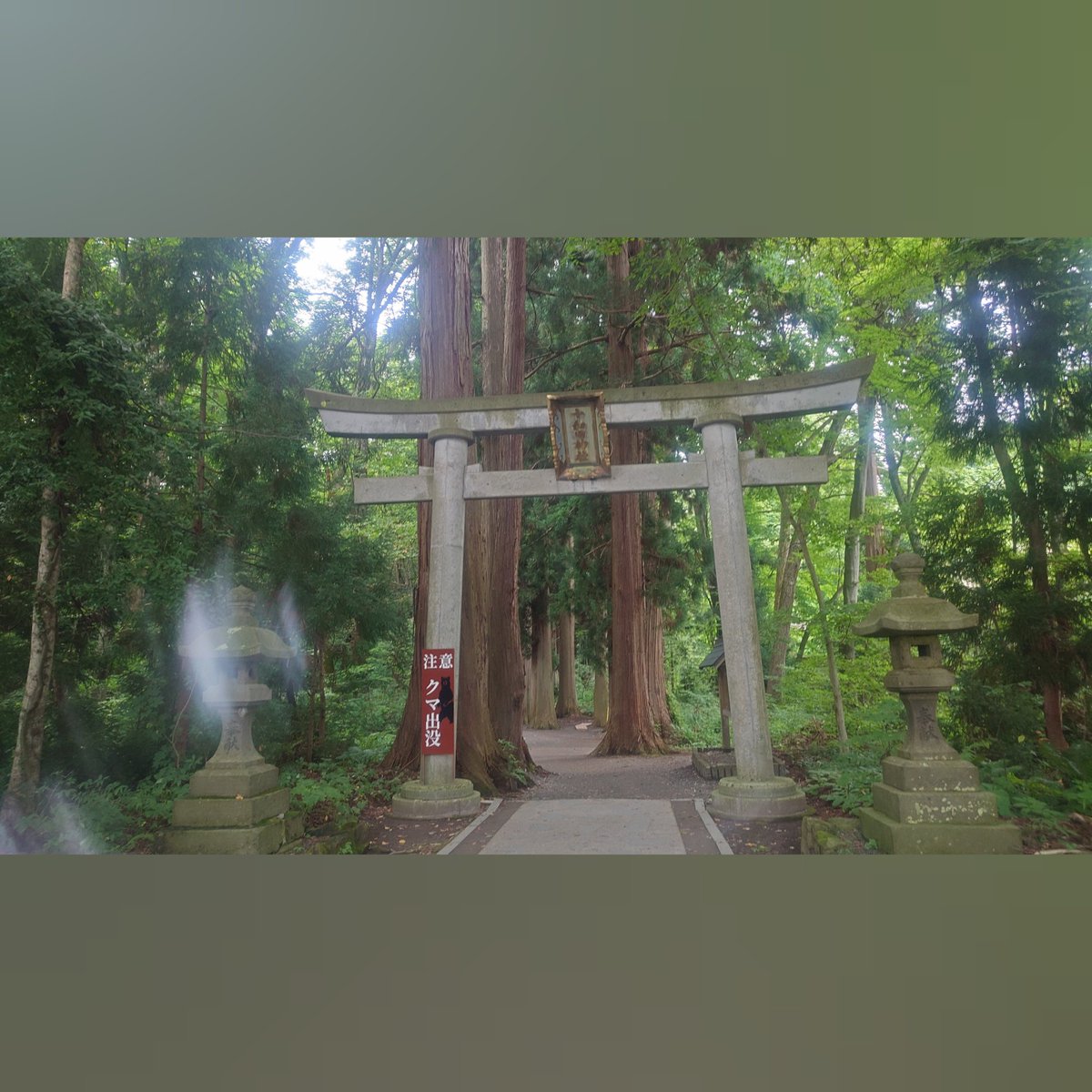 fmbikm's tweet photo. 十和田神社へ。
ととろのような不思議な世界感。
自然を感じてまたリセット。
8月もあっという間にお盆。
1日1日を大切に、
いかにいま何もしない空白時間を
作るかがとても大切。
この空白時間がなければ余裕もない。
いま感じてる感情をジャッジせず
認めることが昇華に繋がる。 https://t.co/fKN0PBBlwi
