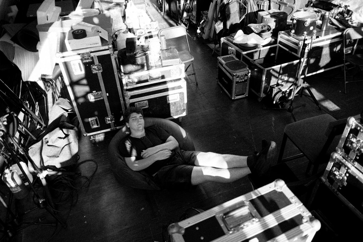 Дельфин tweet media