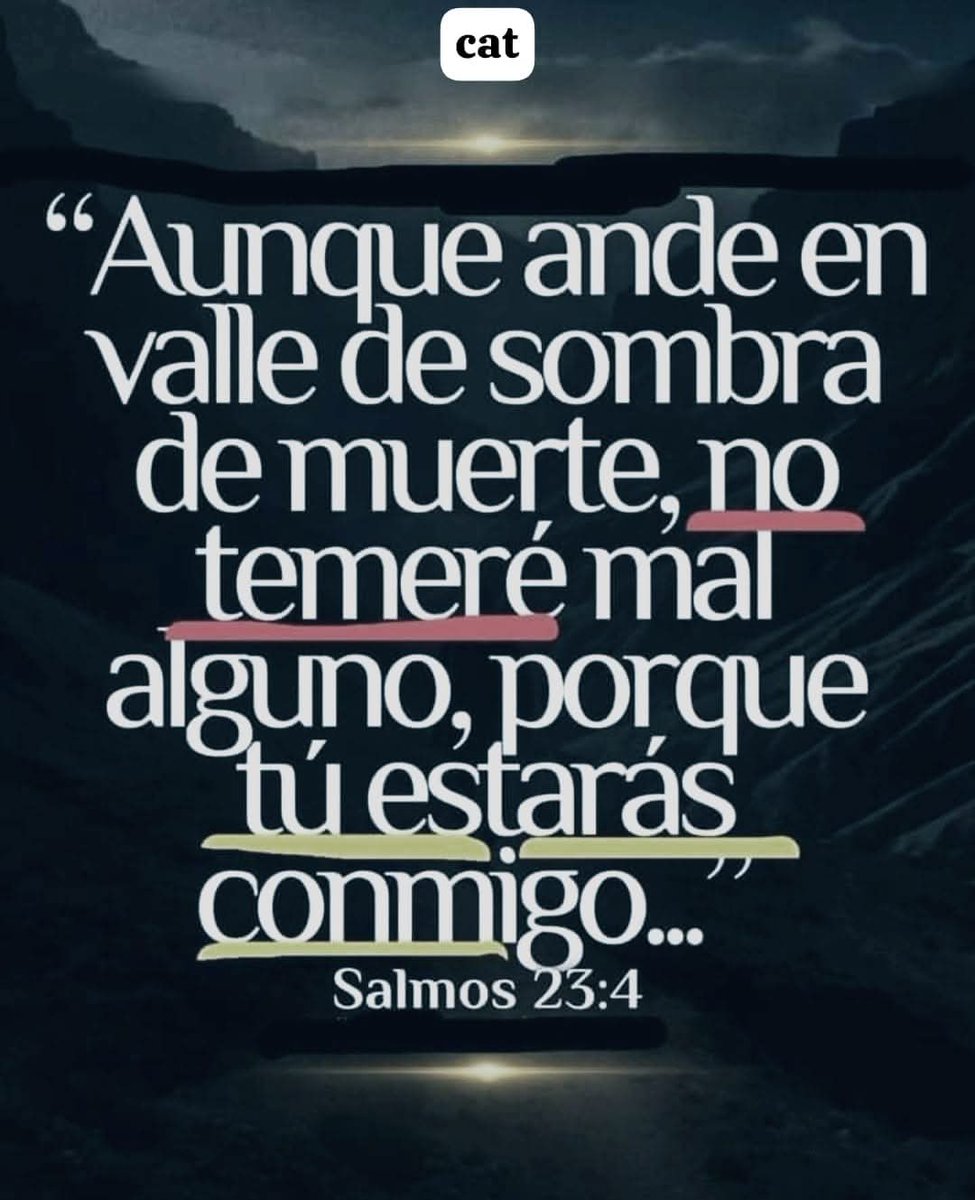 ArriojaTorres's tweet photo. https://t.co/lqzvkEscED