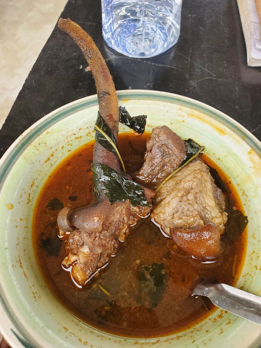 I love my plug like a brother❤

🐕>>>>