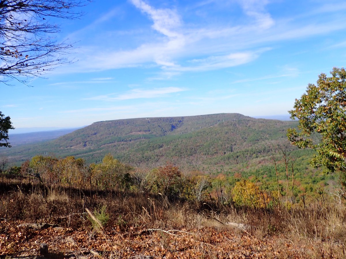 cruzzeroutdoors's tweet image. Howdy from the Natural state of Arkansas. #discovernature #gohiking #enjoynature #discoverarkansas