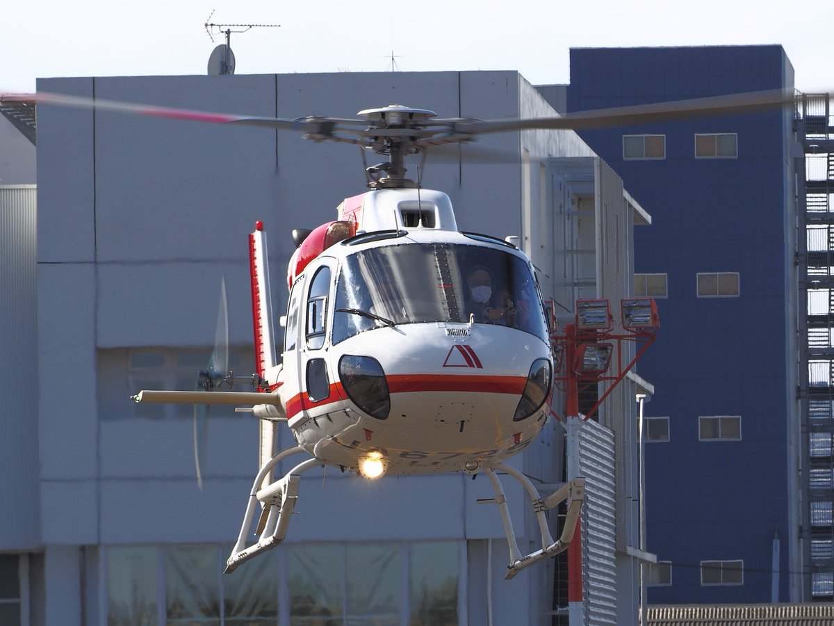 おれんじ (@jskAR7xtT8tBePL) / Posts / X