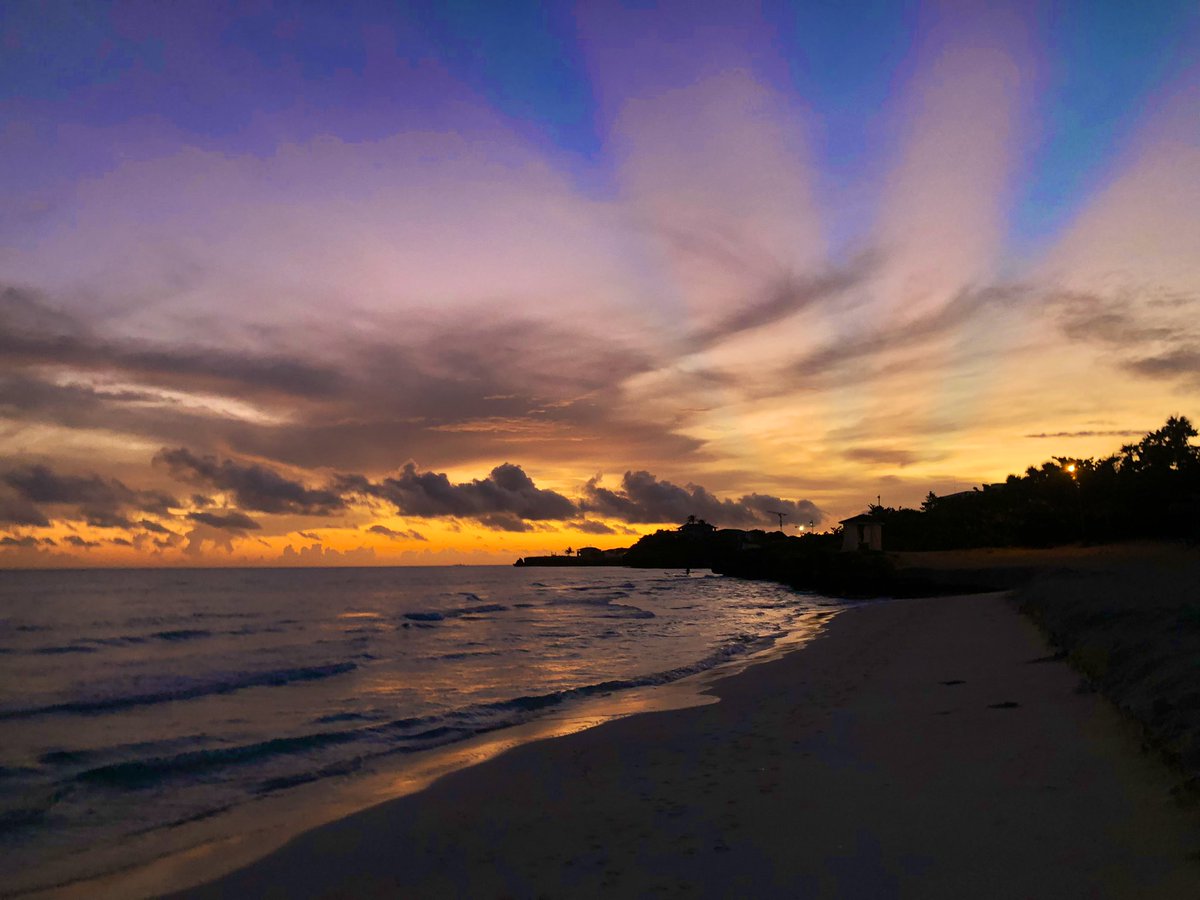 Johana Tablada de la Torre tweet media