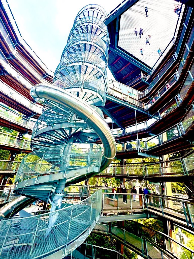 Victoria Malahat Skywalk Tour

#malahatskywalk #malahat #vancouverisland #canada #explorebc #victoriabc #britishcolumbia #bc #skywalk #victoria #nature #westcoast #tourismvancouverisland #hellobc #explorecowichan #travel #explorevancouverisland #vanisle ##islandlife