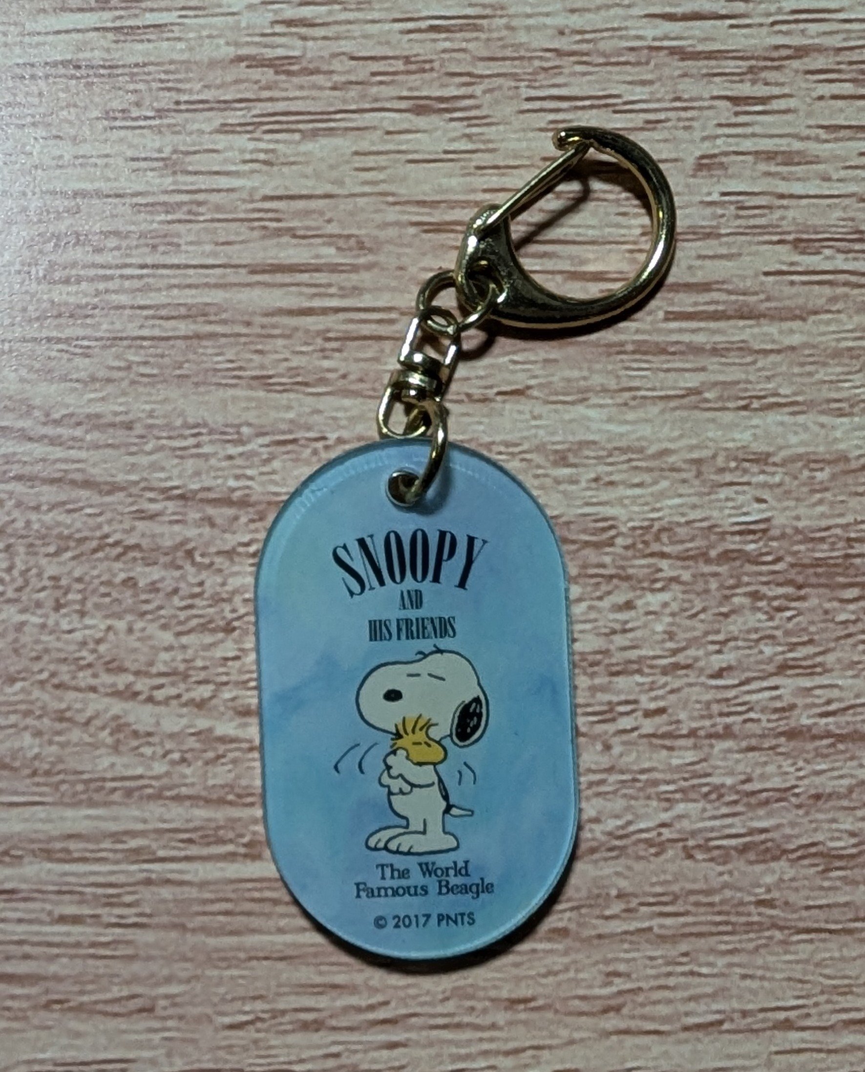 SNOOPY - Search / X