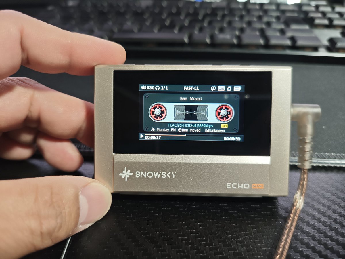 #FIIO
 #SNOWSKYECHOMINI
FLACもちゃんと再生出来るね✨
SDは本体でフォーマットしないとファイル認識出来ないっぽいです🤔