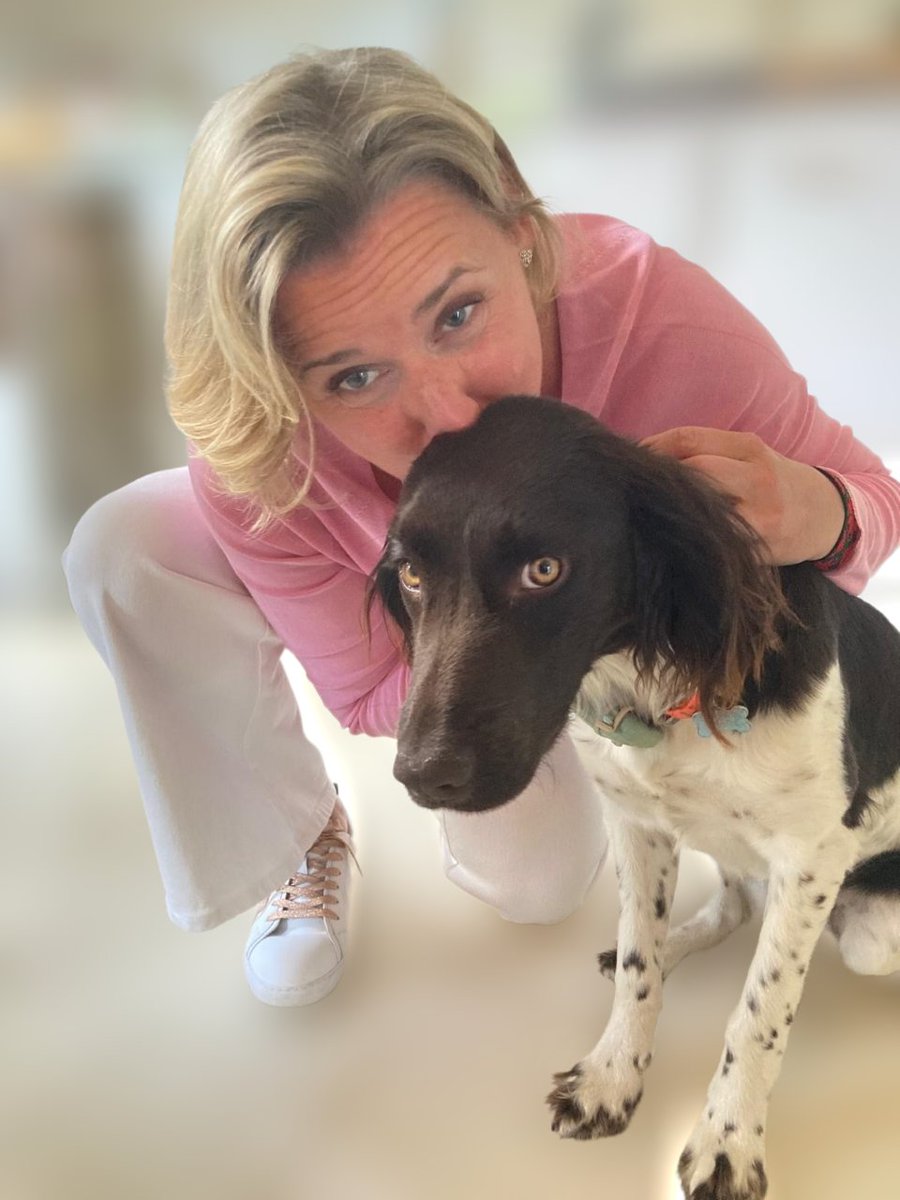 Florence (@flore14) on Twitter photo This small fundraiser to support <a href="/dzygaspaw/">Dzyga's Paw</a> is closed 💪
Thanks to your generosity, the 2nd Brigade will get one more high-tech drone.
In these dire times, with Pokrovsk under constant threat & too many looking away, your solidarity mattered more than ever❤️🔥
Pippa says thx 🐾 This small fundraiser to support <a href="/dzygaspaw/">Dzyga's Paw</a> is closed 💪
Thanks to your generosity, the 2nd Brigade will get one more high-tech drone.
In these dire times, with Pokrovsk under constant threat & too many looking away, your solidarity mattered more than ever❤️🔥
Pippa says thx 🐾