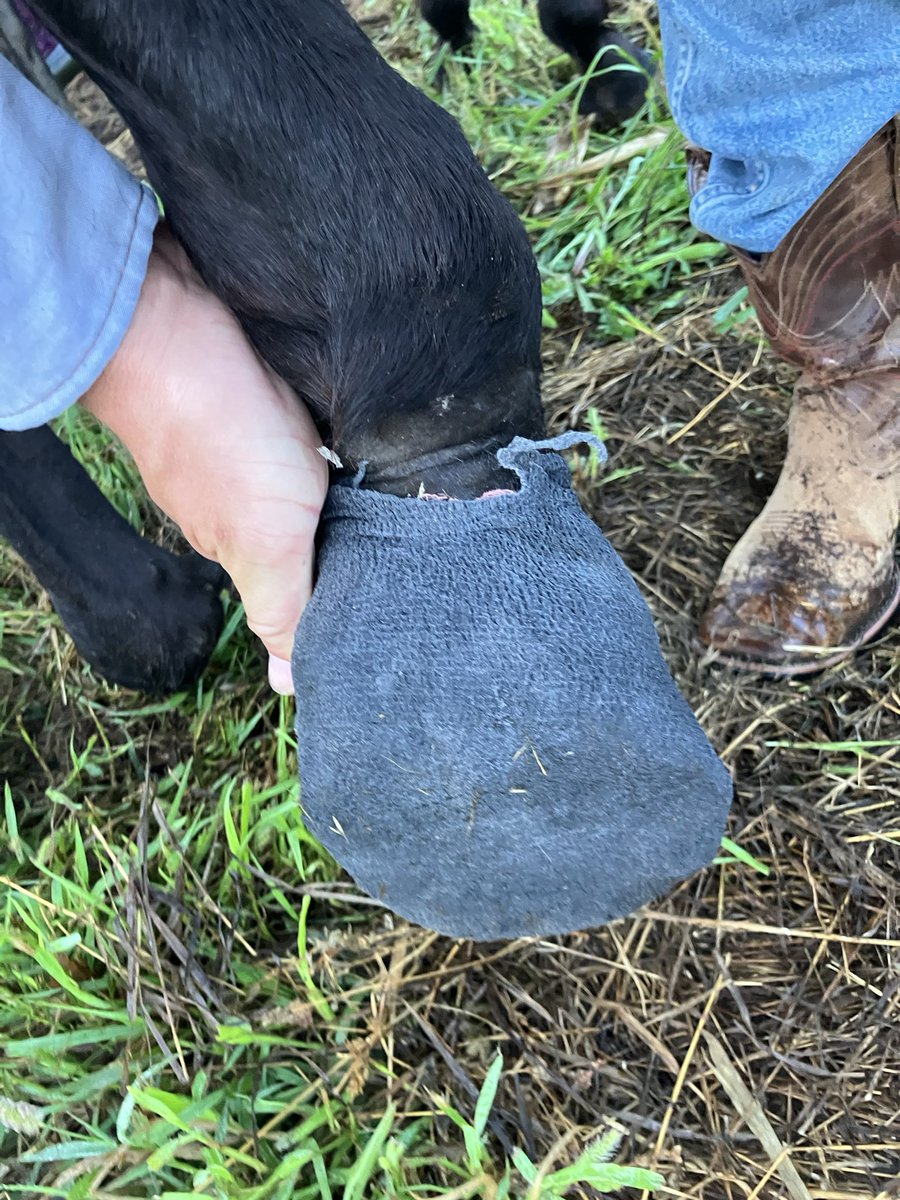 Little faster at this all the time.