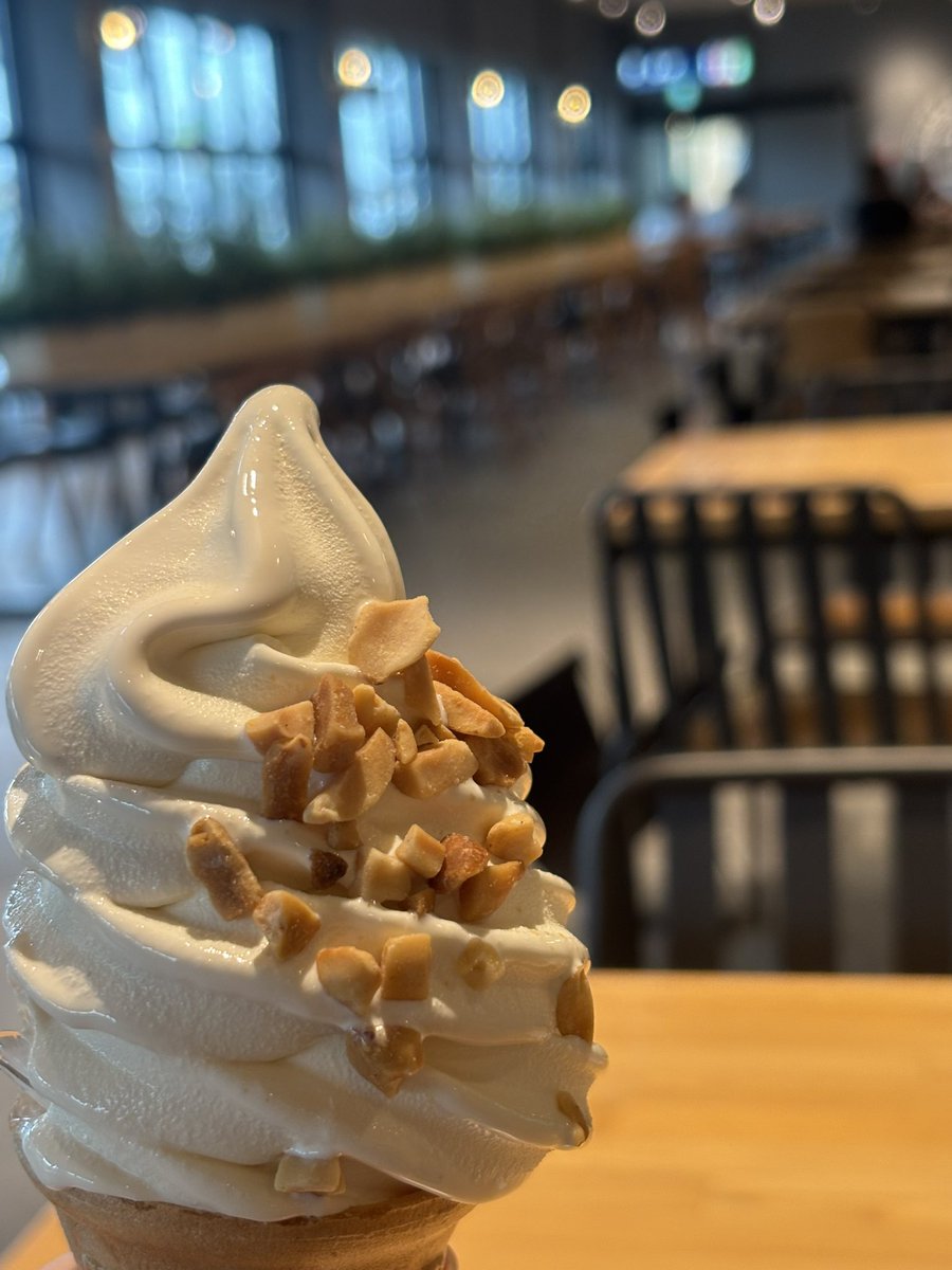 古本屋さんで見つけた本。娘ちゃんと一緒にお勉強タイム😊知らない事を頭に入れる。利用者さんの為に、自分の介助が少しでも良くなる事を期待して日々お勉強。
おやつはピーナッツソフトクリーム🍦