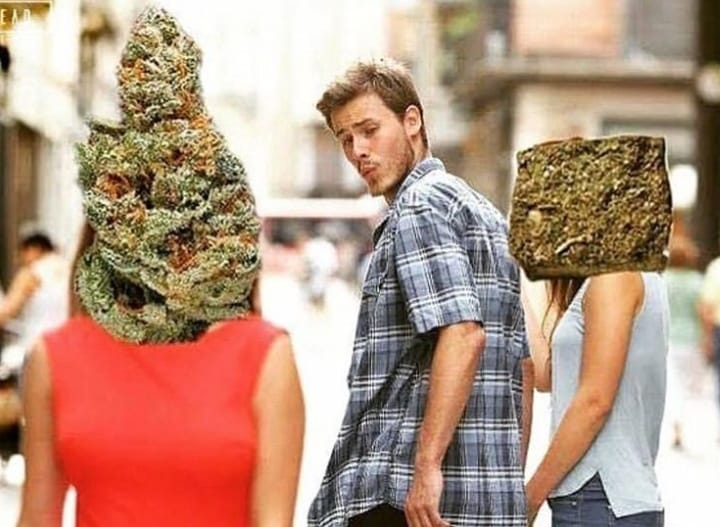 SpaceCannabis 🍃 tweet media